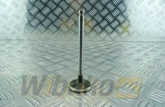 Exhaust valve wbk 3802356