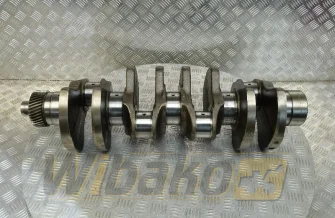 Crankshaft Liebherr 9266921