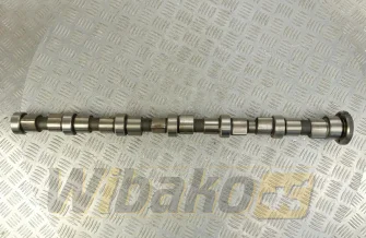 Camshaft for engine Cummins QSB6.7 3979506