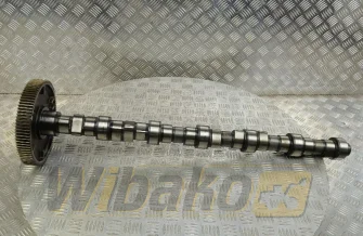 Camshaft for engine Deutz TCD2013 L06 2V 04511872