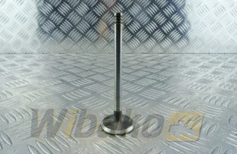 Exhaust valve TRW 22308