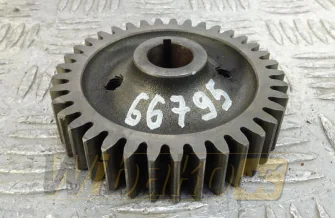 Gear pompy hydraulicznej Z=37 Deutz 04294091