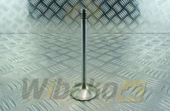 Inlet valve TRW 22209