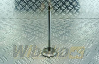 Inlet valve TRW 22244