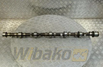 Camshaft for engine Volvo TD103 8194480