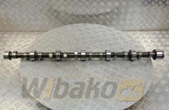 Camshaft for engine Volvo TD103 8194480