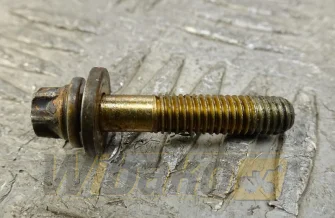 Screw M6x30 Deutz 01177856