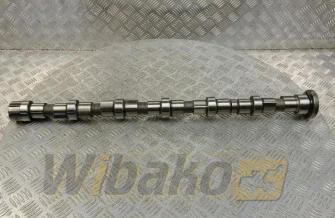Camshaft for engine Cummins QSB6.7 3979506