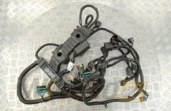 Electric harness for engine Cummins QSB6.7 5318522