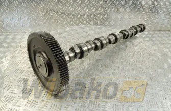 Camshaft for engine Deutz BF6M1013 04255458