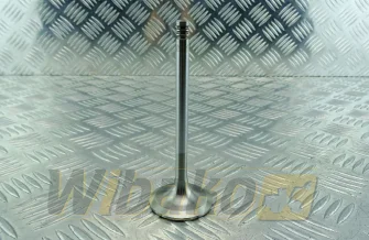 Inlet valve TRW 22307