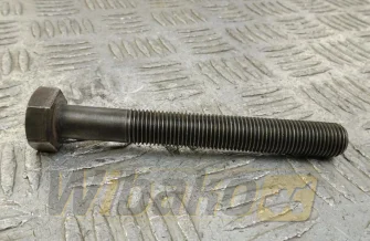 Śruba koła zębatego wałka rozrządu M14x110 for engine Deutz TD2011 04270070