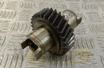 Z=29 for engine Iveco 8065.25T 500331507
