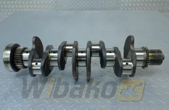 Crankshaft Cummins 4934251