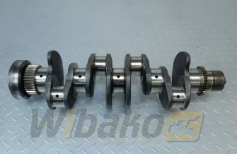 Crankshaft Cummins 5289839
