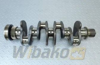 Crankshaft Cummins 4934251