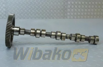 Camshaft for engine Cummins 3.9 3968381