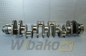 Crankshaft Cummins 3073707