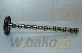 Camshaft for engine Cummins ISME 4022816