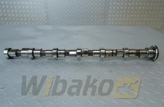 Camshaft for engine Cummins ISBE5.9 4896420