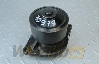 Water pump Cummins 3800984