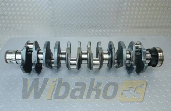 Crankshaft for engine Deutz BF6M1013 02929571