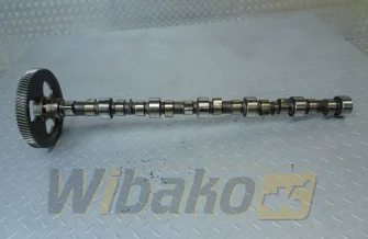 Camshaft for engine Cummins 8.3 3924471