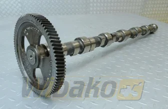 Camshaft Cummins 3923478