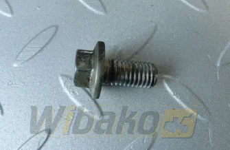 Vibration damper screw M10x20 Deutz 01181393