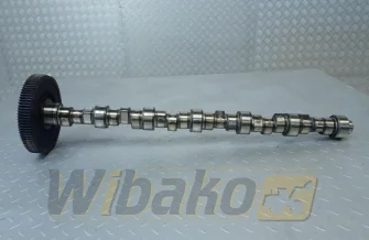 Camshaft for engine Deutz BF6M1013 04202613