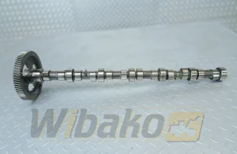Camshaft for engine Cummins 5.9 3929886