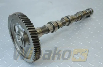 Camshaft for engine Cummins 3.9 3929885