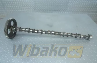 Camshaft for engine Cummins 8.3 3924471