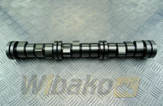 Camshaft BF Original 20100510156