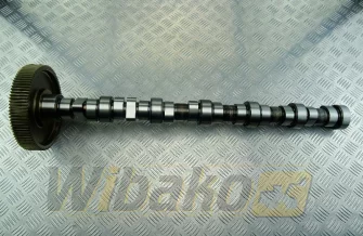 Camshaft BF Original 20100520136