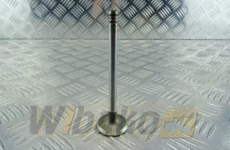 Exhaust valve TRW 22305