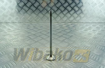 Exhaust valve TRW 22301