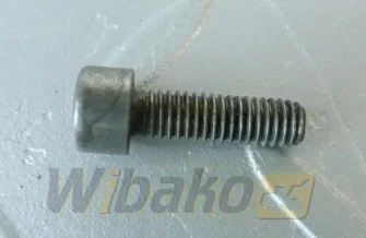 Screw pompki paliwowej zasilającej ISO4762 M6x20 8.8 480H Liebherr 11140465