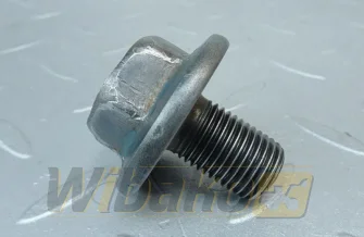 Screw wału korbowego M14x22 Kubota 16241-91020