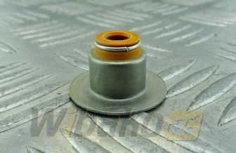 Valve seal wbk 3955393