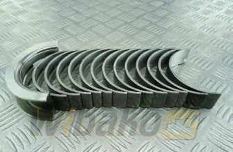 Main bearings STD Kolbenschmidt 77798600