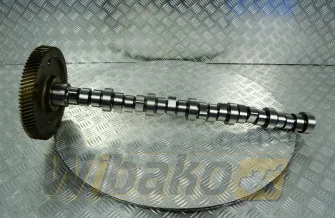 Camshaft BF Original 20100390601