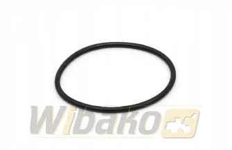 Liner o-ring wbk 10006499