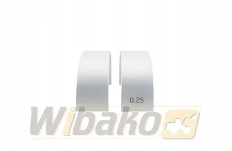 Main bearings 0.25 wbk 9061982
