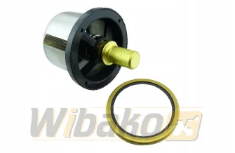 Thermostat z uszczelniaczem 82°C wbk 10117576+10043255