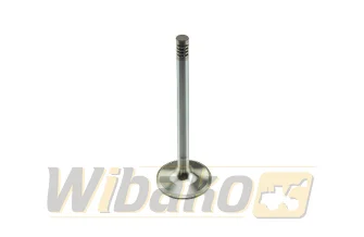 Inlet valve wbk 9279578