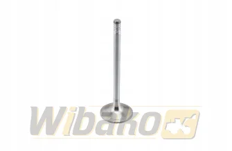 Inlet valve wbk 9279965