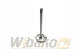 Exhaust valve wbk 9279579