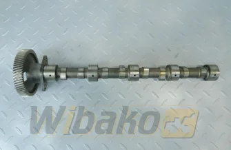 Camshaft for engine Kubota V2203 17343-16010
