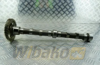 Camshaft for engine Cummins B3.3 6204-41-1210